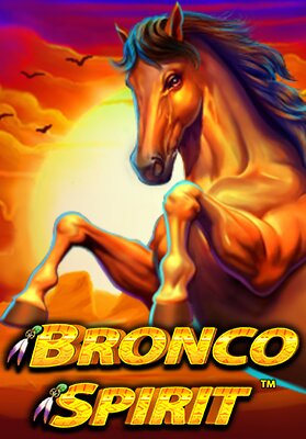 Bronco Spirit